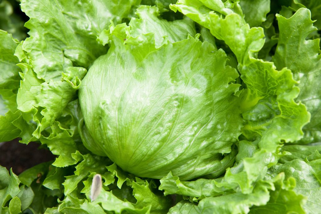 AdobeStock_386990819